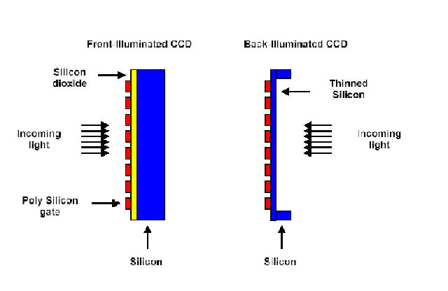 CCD3011_fi-bi.jpg