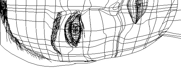 Geometria de um rosto