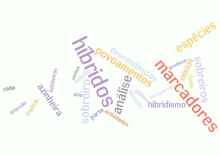 http://www.wordle.net/