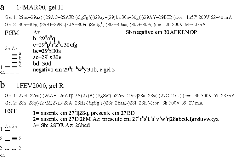 ole.gif