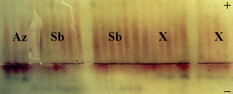 f4.3.gif