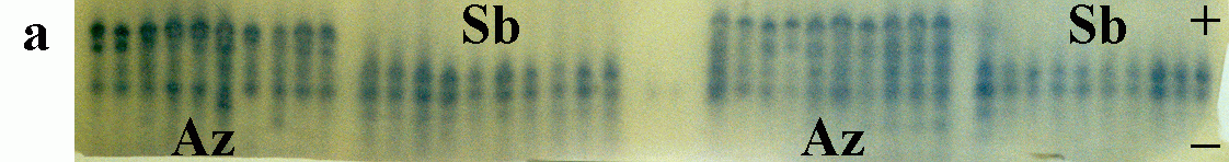 f4.4a.gif