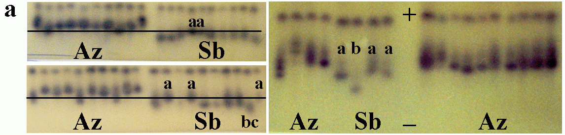 f4.7a.gif