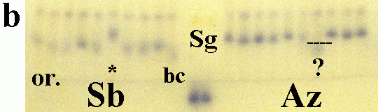 f4.7b.gif