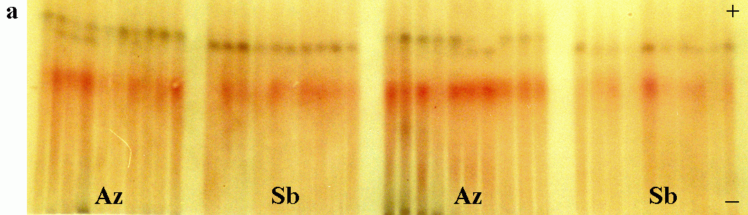 f4.8a.gif