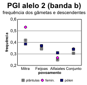 ole5.gif