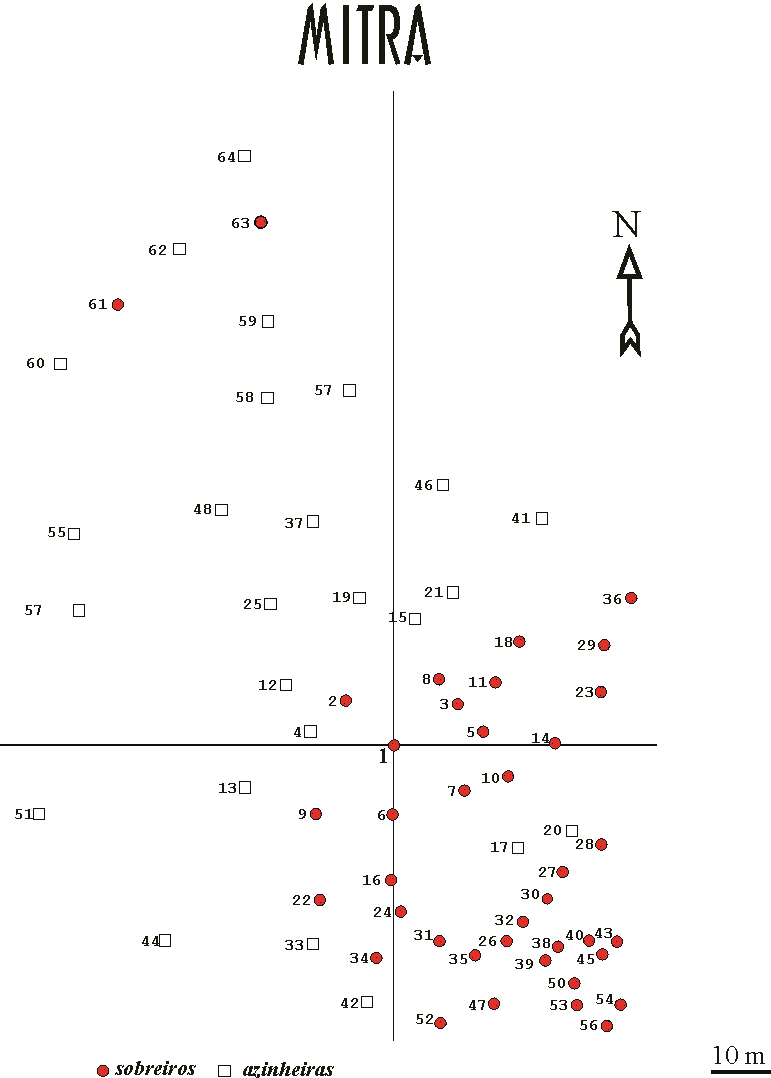 m11.gif