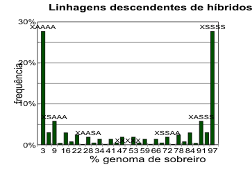 ole3.gif